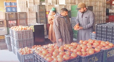 أسعار الطماطم ترتفع مجددا في الأسواق