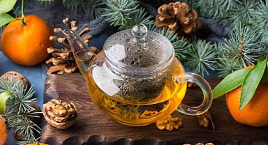 دليل الشفاء الطبيعي في فصل الشتاء