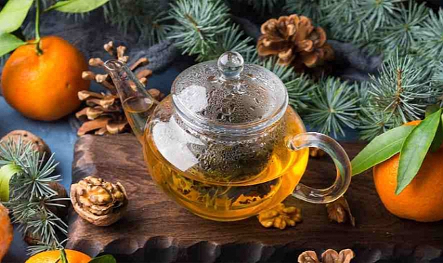 دليل الشفاء الطبيعي في فصل الشتاء